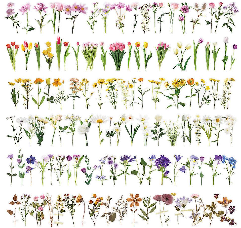 1Pcs Waterproof Transparent Pet Notebook Bullet Diary Diy Tulip Material Journal Stickers Flower Sticker Package