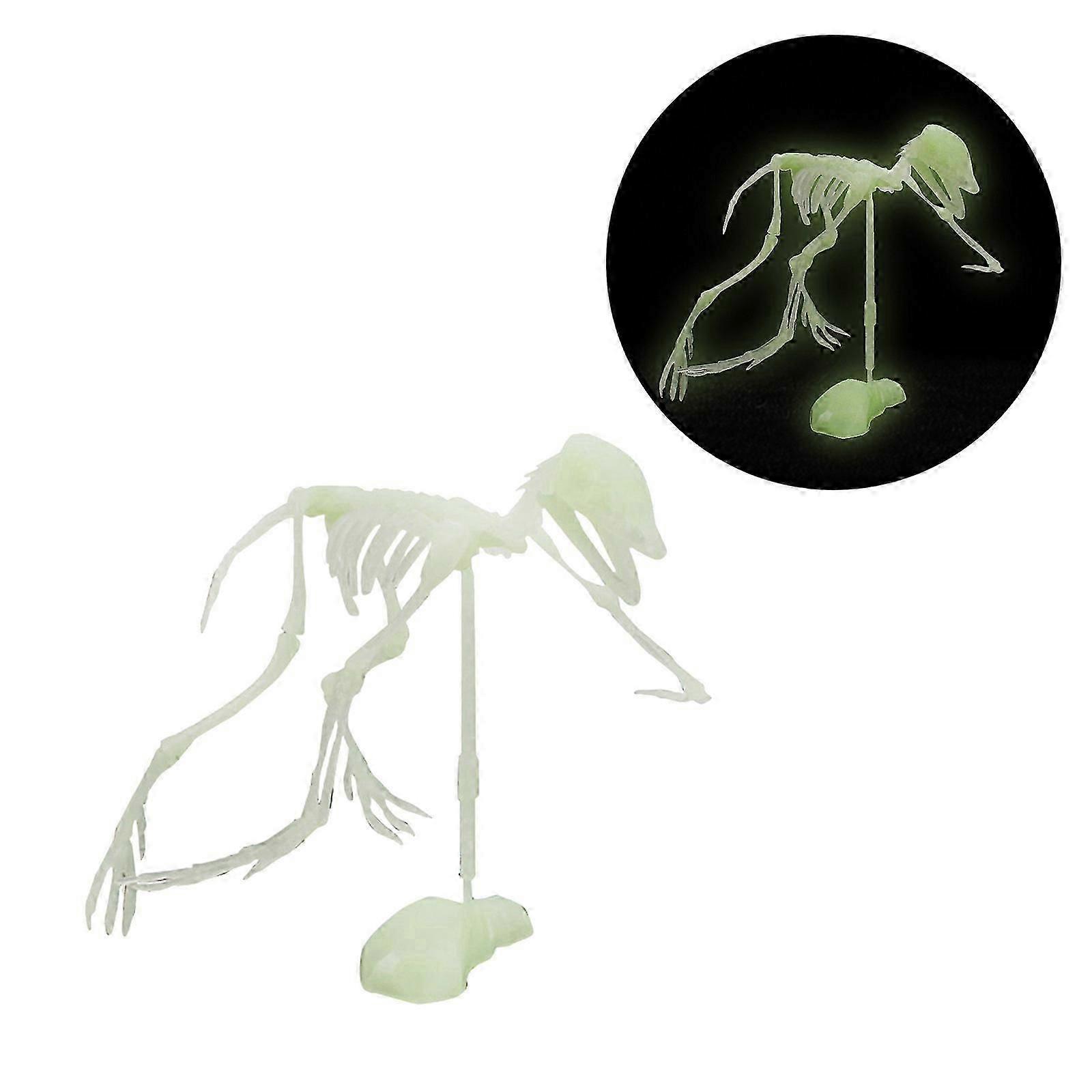 Noctilucent Dinosaur Human Skeleton Model Assembly Skull Toy Bones Decor