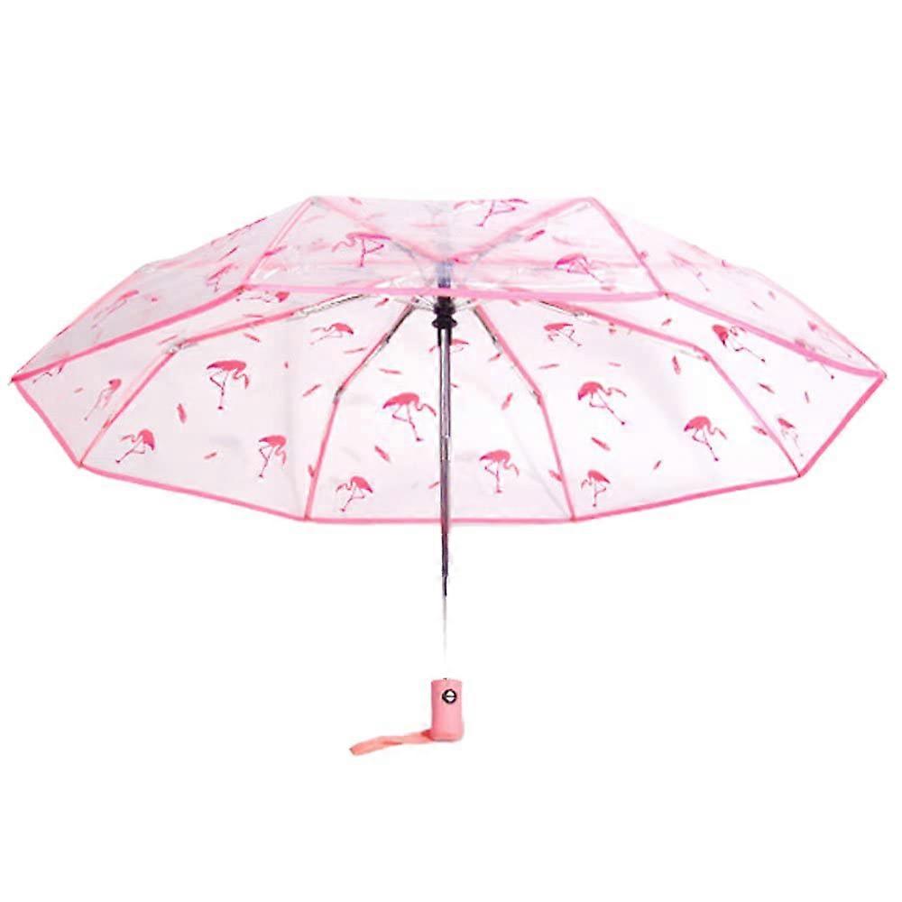 Werfamily Transparent Automatic Travel Umbrella, Foldable and Compact Waterproof Canopy for Sun and Rain