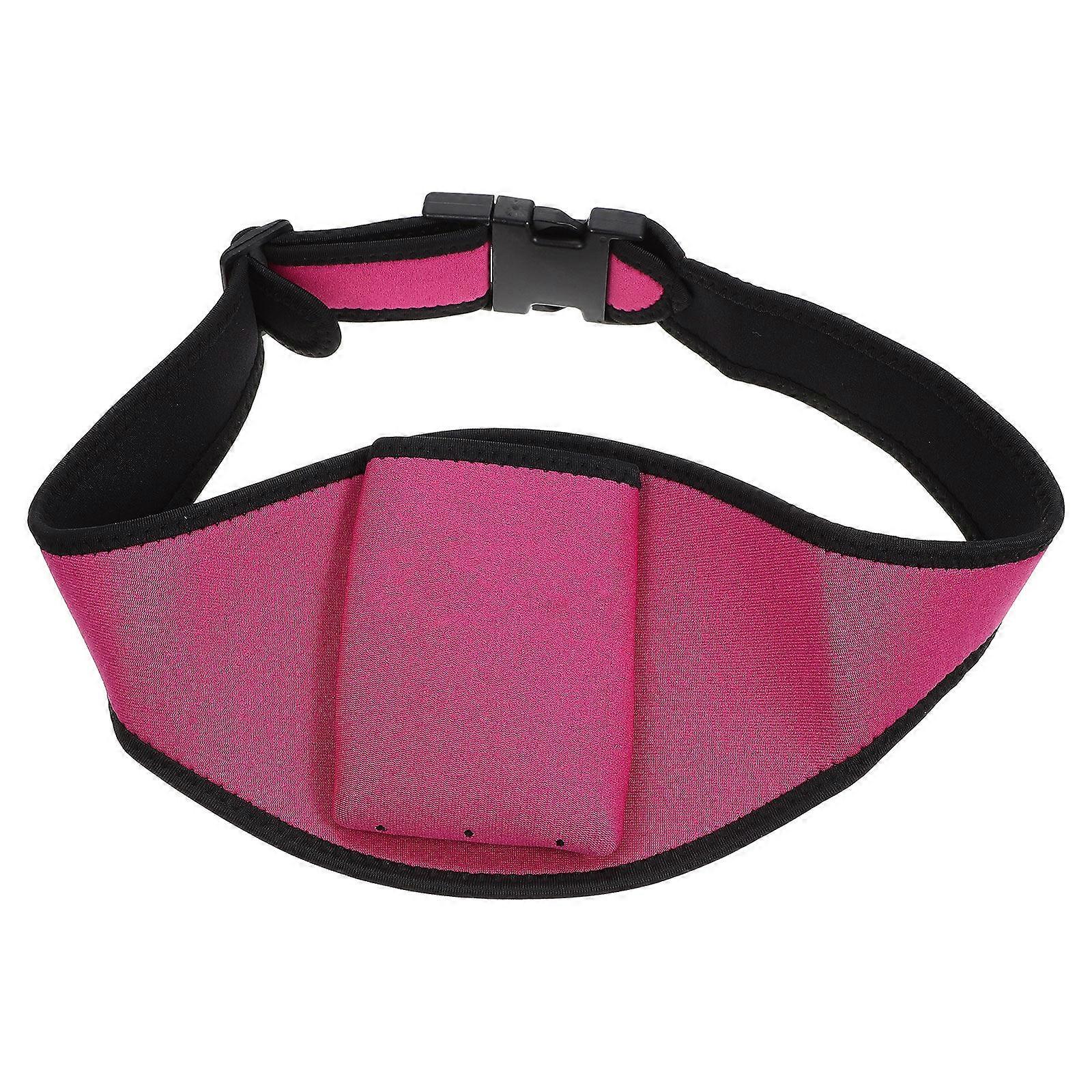 Professional Mic Accessory for Teaching and Speaking Engagements