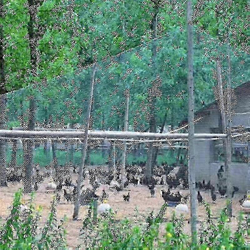 Heavy Anti Bird Netting Net Garden Fence And Crops Protective Fencing Mesh Anti Bird Deer Cat Dog Chicken f26
