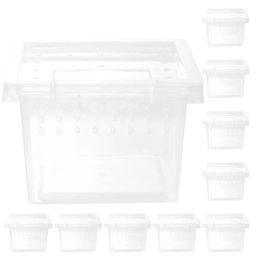 Reptile Feeding Box Transparent Case for 30Pcs Reptile Feeding Needs