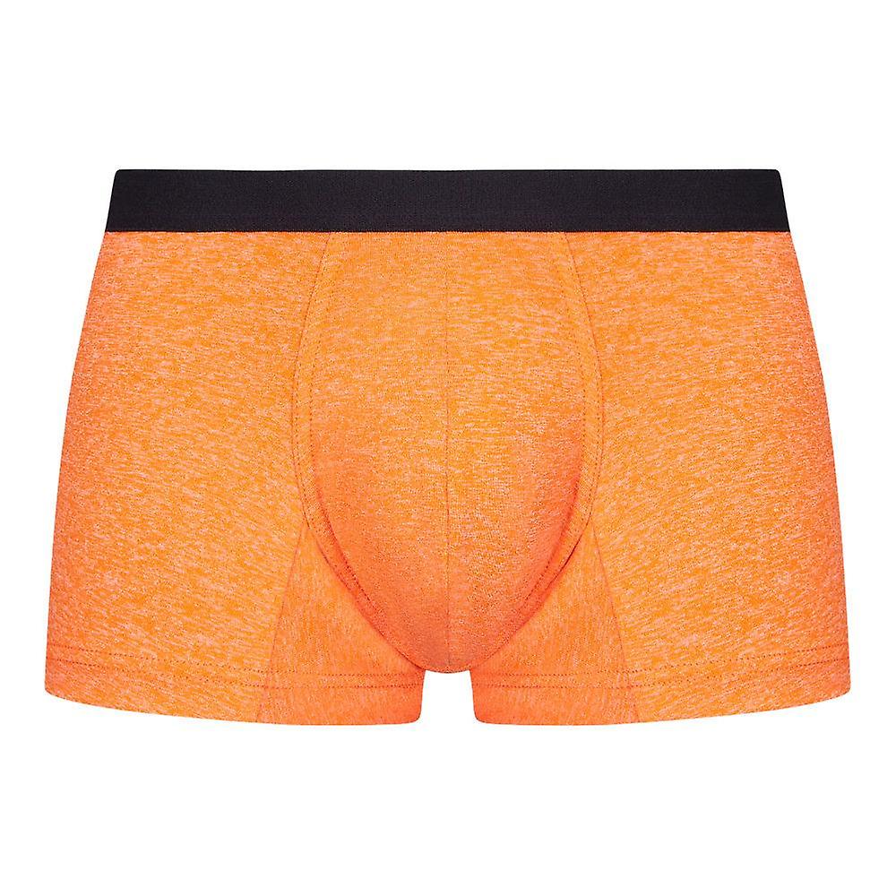 Apollo hipster orange