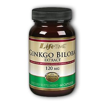 LifeTime Ginkgo Biloba, 120 mg, Standardized Extract 60 caps (Pack of 2)