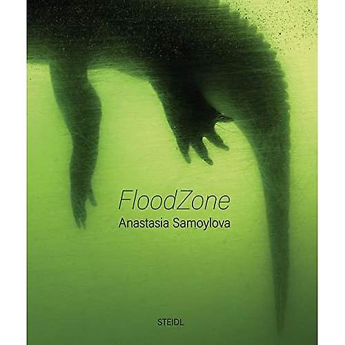 Anastasia Samoylova: FloodZone