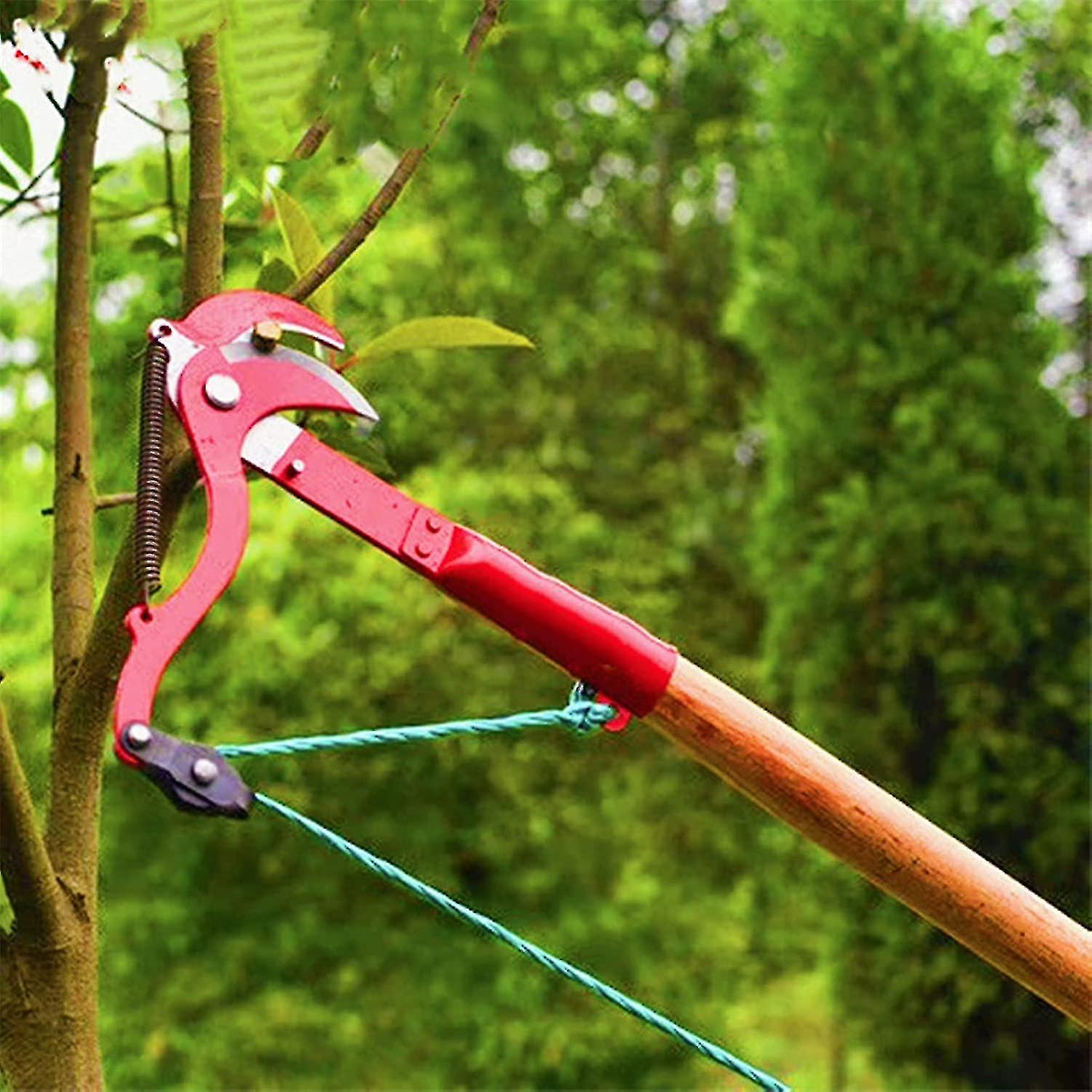 Piao Branch Hedge Gardening Bush Pole Trimmers Tools Set Supplies Sheers Clippers Hand Plants Cutter High Branch Shears, High Altitude Shears, Branch