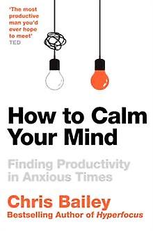 How To Calm Your Mind by Chris Bailey Paperback Book