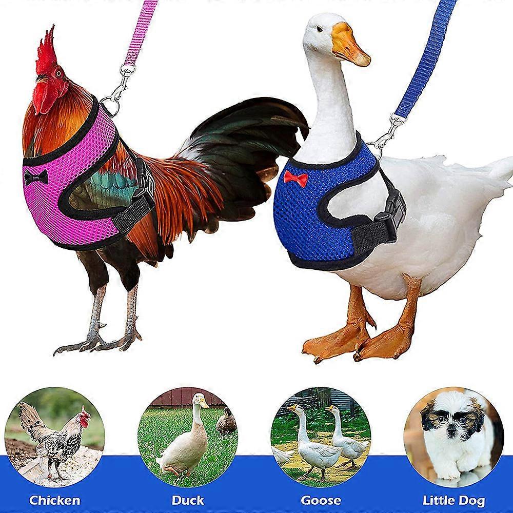 2Pieces Adjustable Chicken Harness with Leash