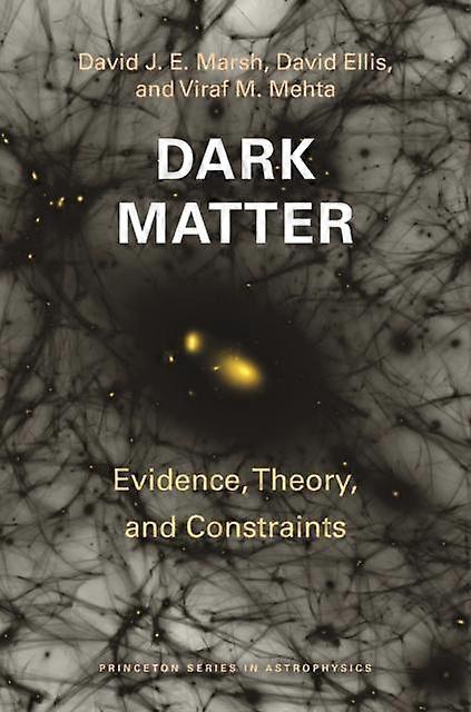 Dark Matter by Viraf M. Mehta Paperback