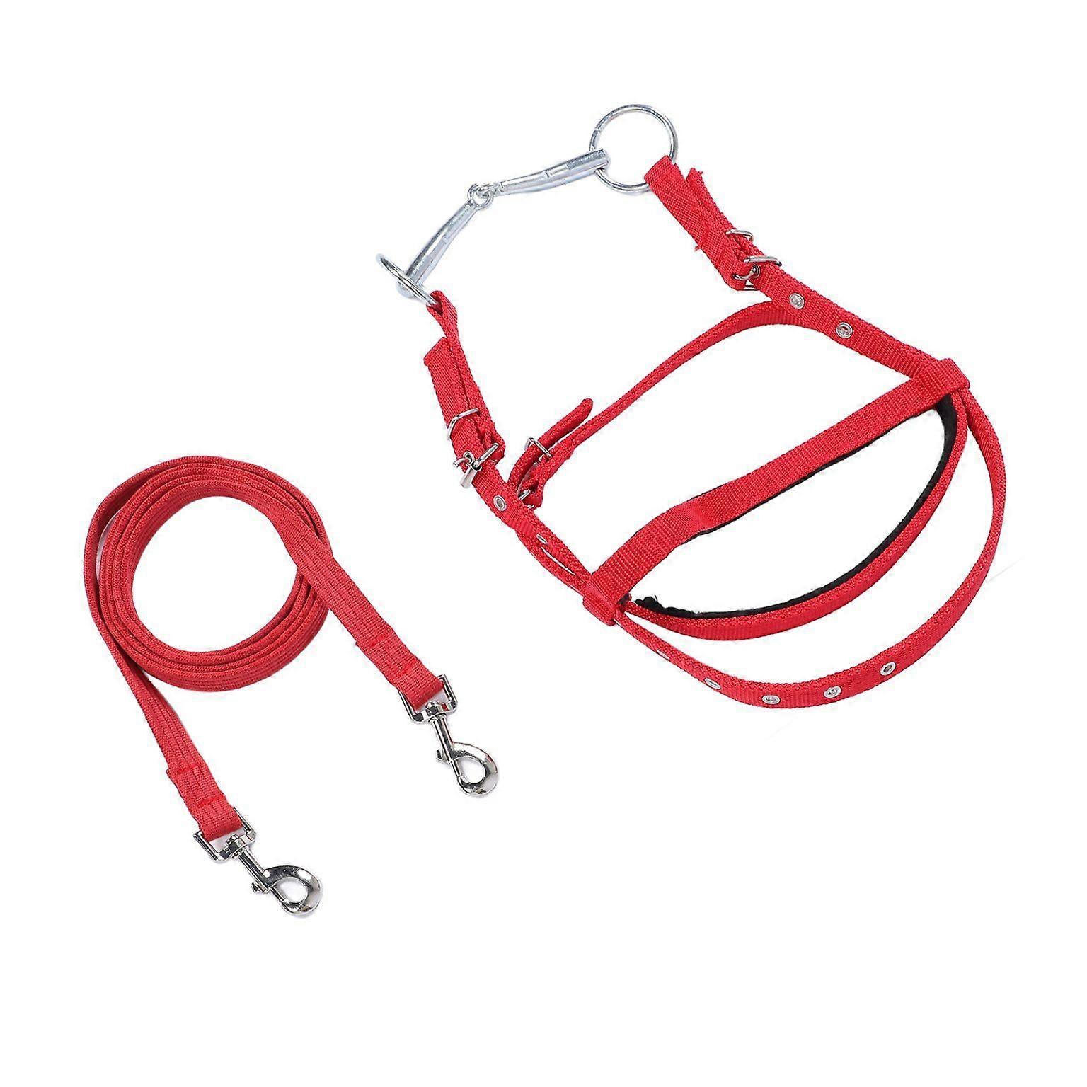 Adjustable Bungee Side Reins for Horse Training - Versatile Training Aid