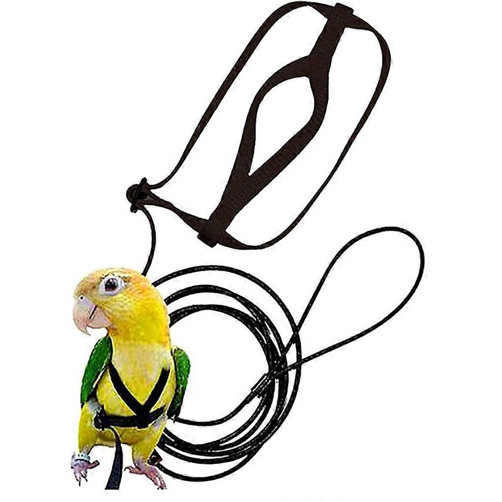 Adjustable Bird Flight Harness for Parrots, Nylon Pet Leash, Easy to Carry, Comfortable Fit, Suitable for Small to Medium Birds
