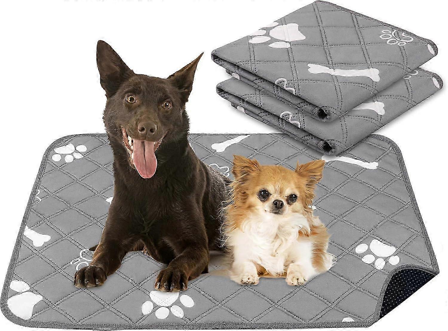 Waschbare Hunde-Pinkel-Pads - super saugfähig für das Training (18x24", 2er Pack)