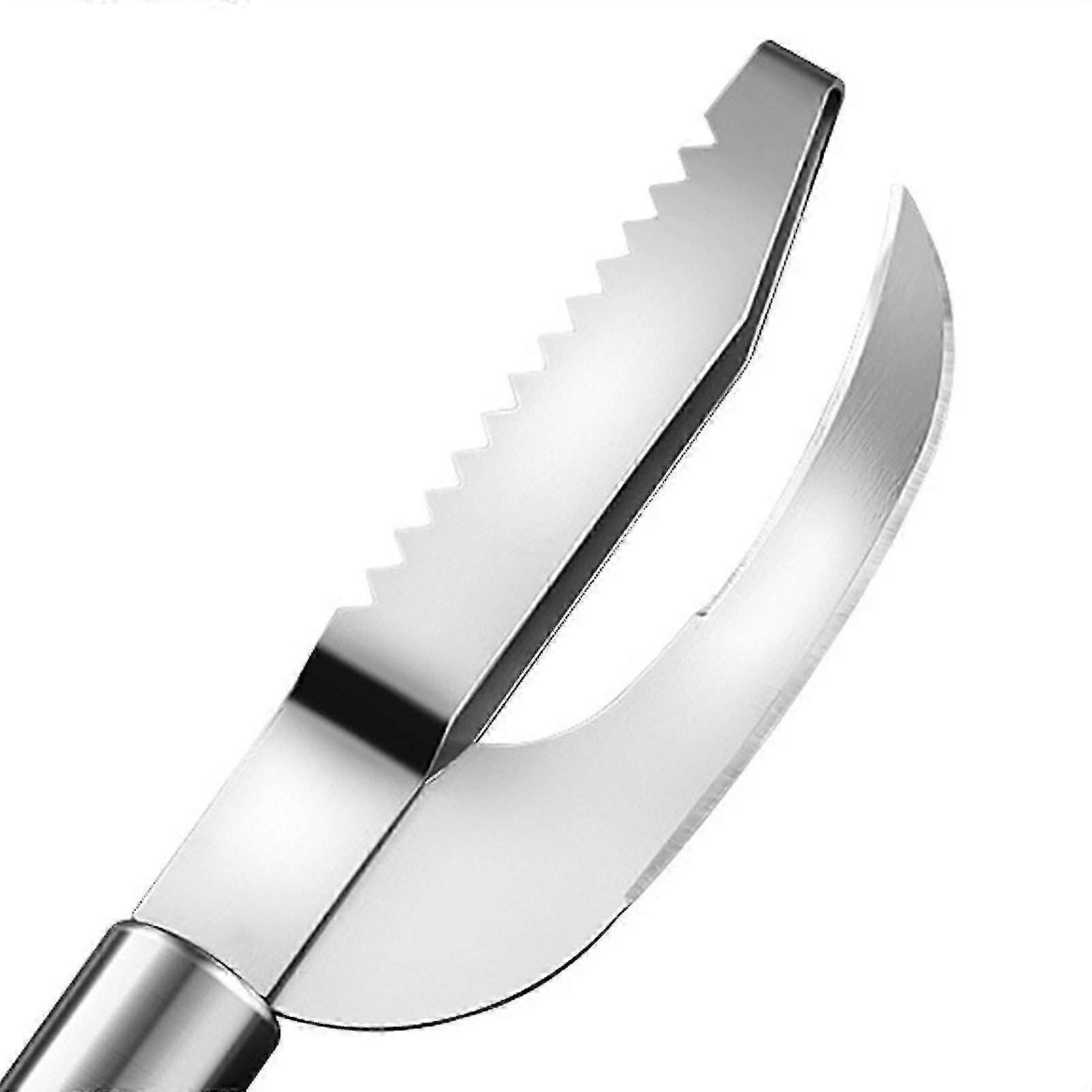 Fish Scaler 3-in-1 Fish Scale Remover Hanging Fish Scale Cutter Stainless Steel