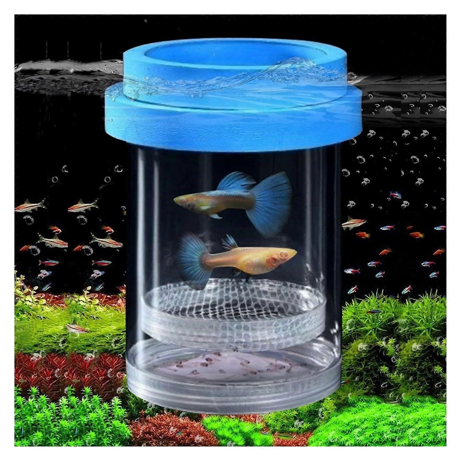 Fish Breeding Box Aquarium Breeder with Safe Environment Easy Install Plastic 13x8.5cm Blue