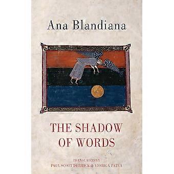 The Shadow of Words