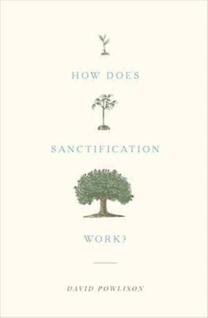 How Does Sanctification Work by David Powlison Paperback