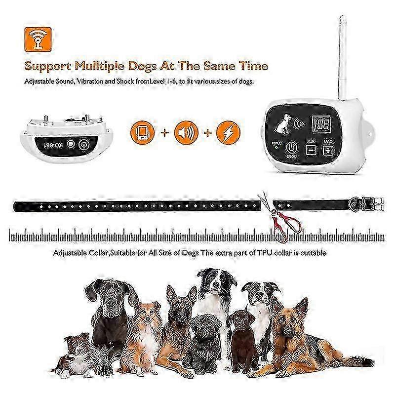 A closer look at Dog Fencing System Without Wire
