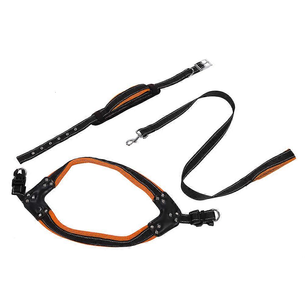 Pet Nylon Leash Collar Rope V-Shaped Back Harness for Small Medium Large Dogs, Adjustable, Durable, Comfortable Fit
