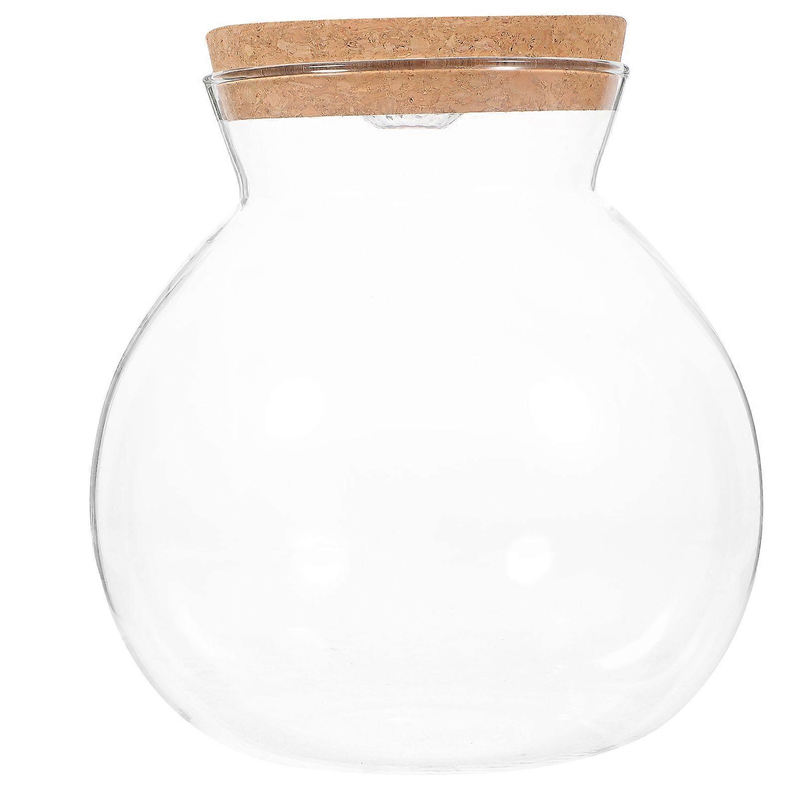 Fish Tank Glass Bottle Practical Glass Ecological Bottle with LED Light