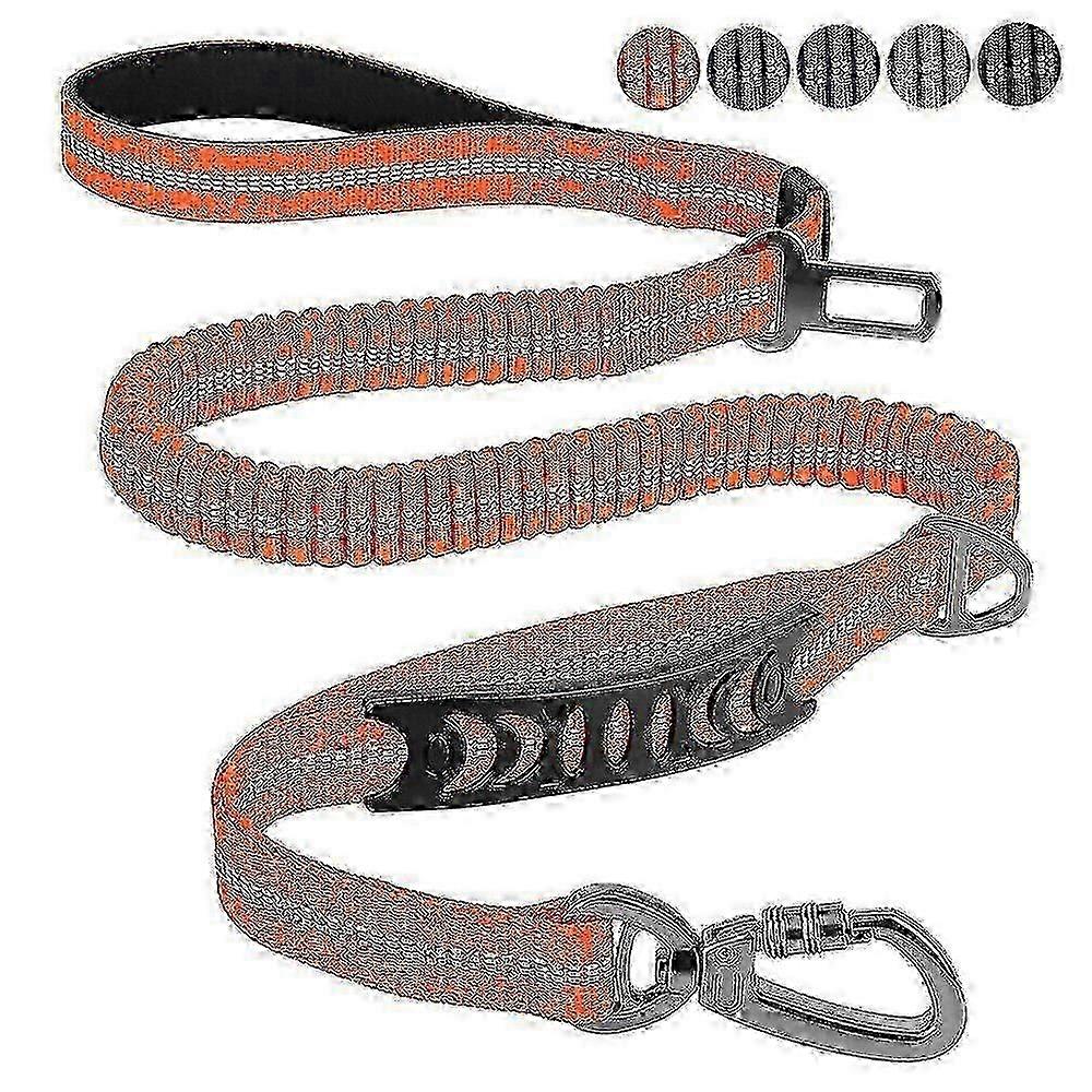 Reflective Bungee Dog Lead Stretchy No Pull No Shock Walking Leash ...