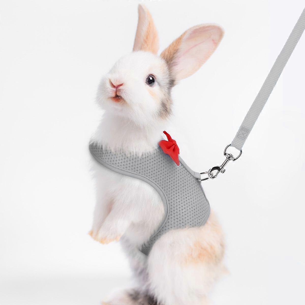 Rabbit Harness and Leash Set with Cute Bow, Soft Breathable Mesh Vest Harness for Rabbits Kitten Ferret Puppy Small Pets Walking Supplies