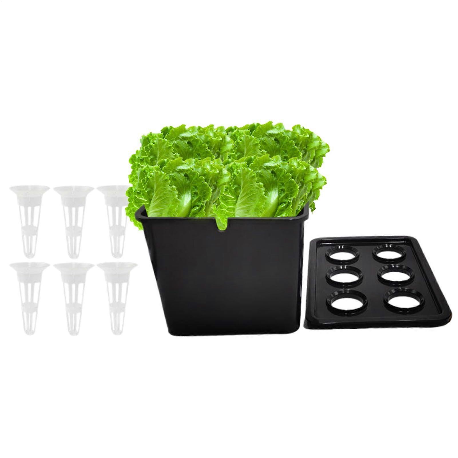 Hydroponics Growing System with Winter Light Simulation, 6Hole Indoor Gardening Kit Black