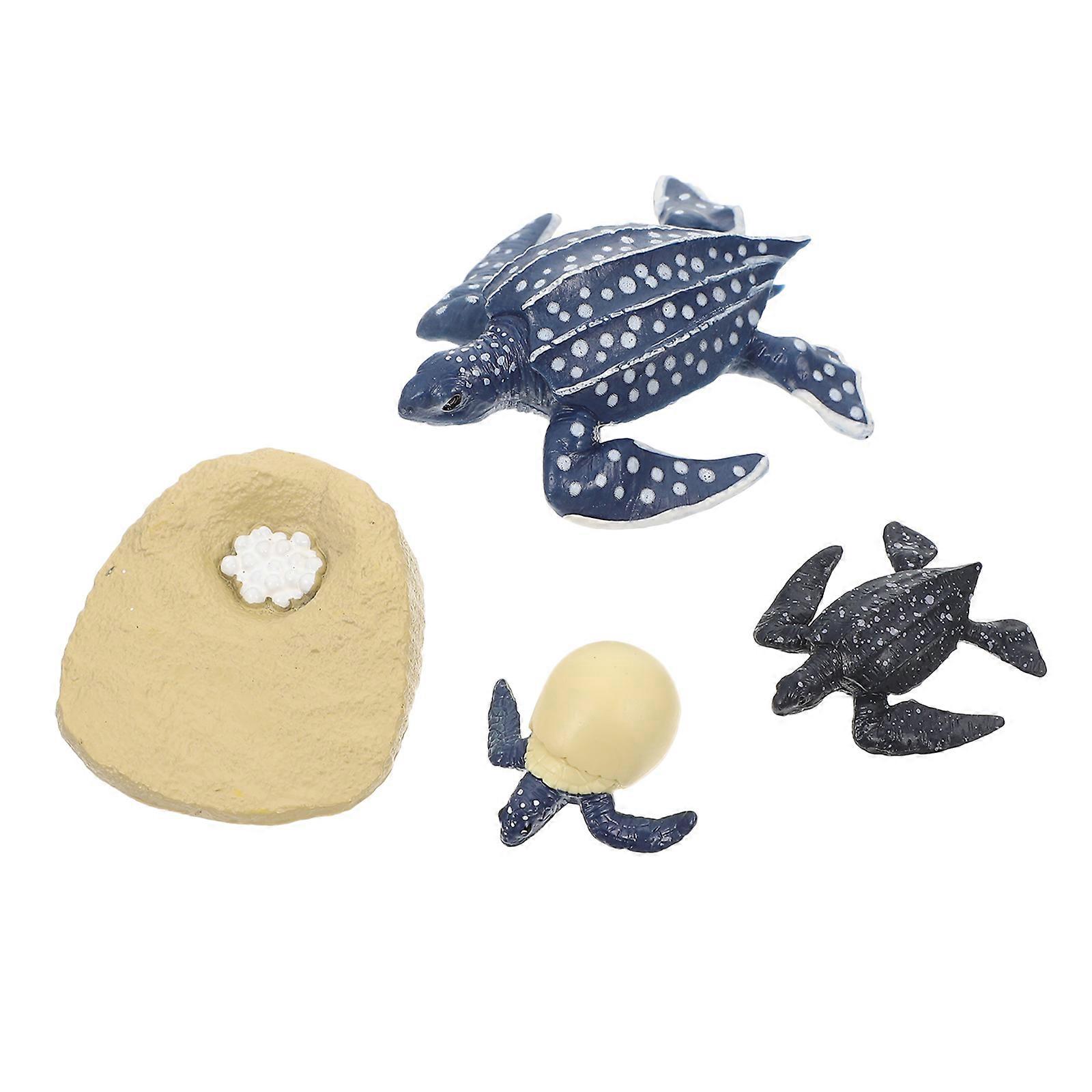 Turtle Growth Cycle Models for Early Learning 1Set Simulation Toy