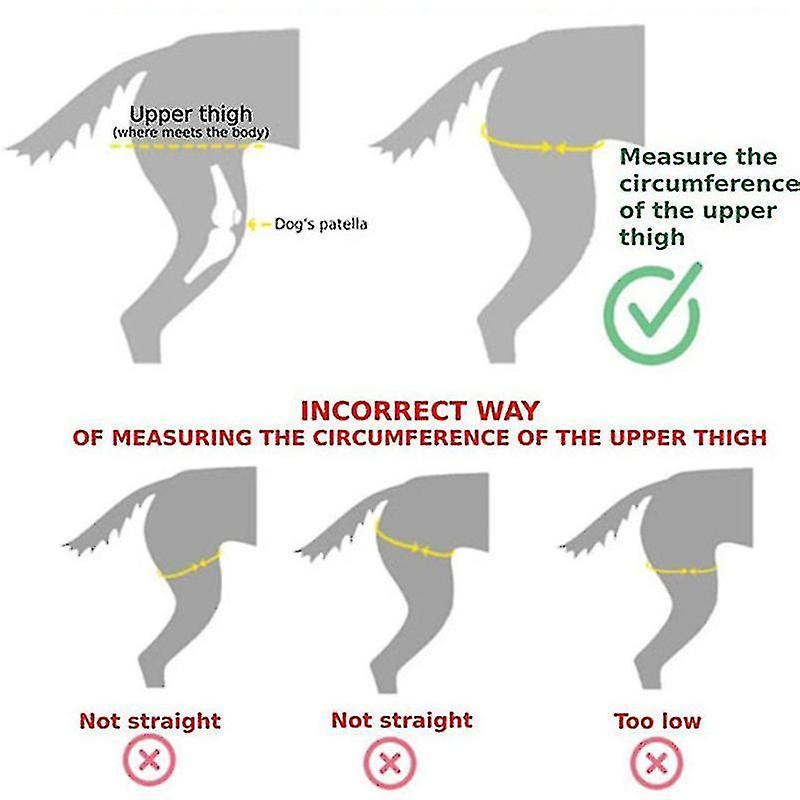 Dog Knee Brace For Acl, Knee Cap Dislocation, Arthritis - Keeps The Joint Warm - Extra Support - Red