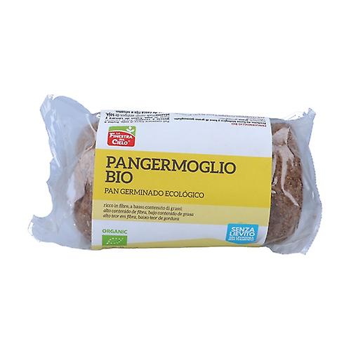Wheat Pangermoglio 400 g