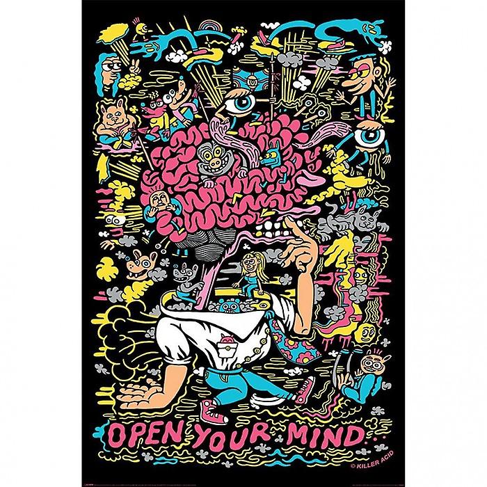 Killer Acid Open Your Mind Maxi Poster