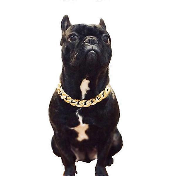 PP COLOR Gold Chain Dog Collar Cuban Link Dog Necklace, for Pit Bulldog, Light Metal Jewelry Chain Puppy Accessories 14"