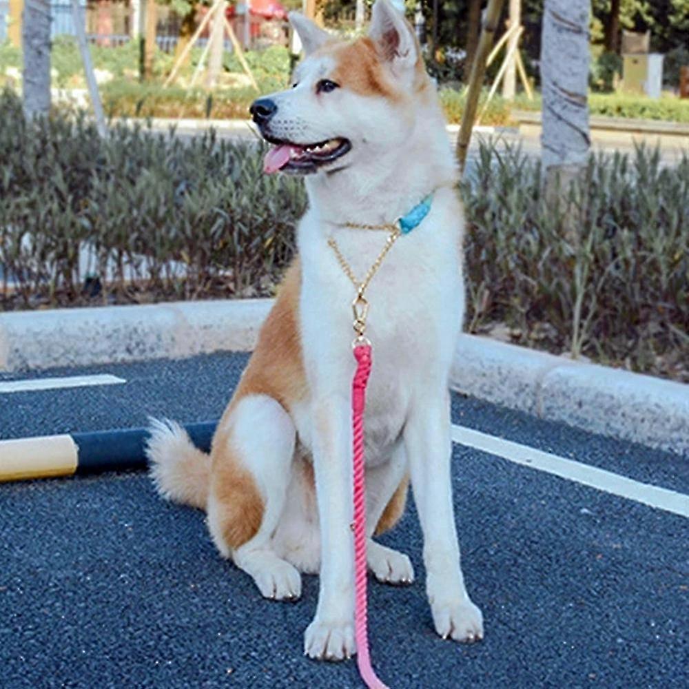 Gradient Color Dog Collars Accessories Leashes Rope Metal Chain Collar Strap Pet Walking Training L