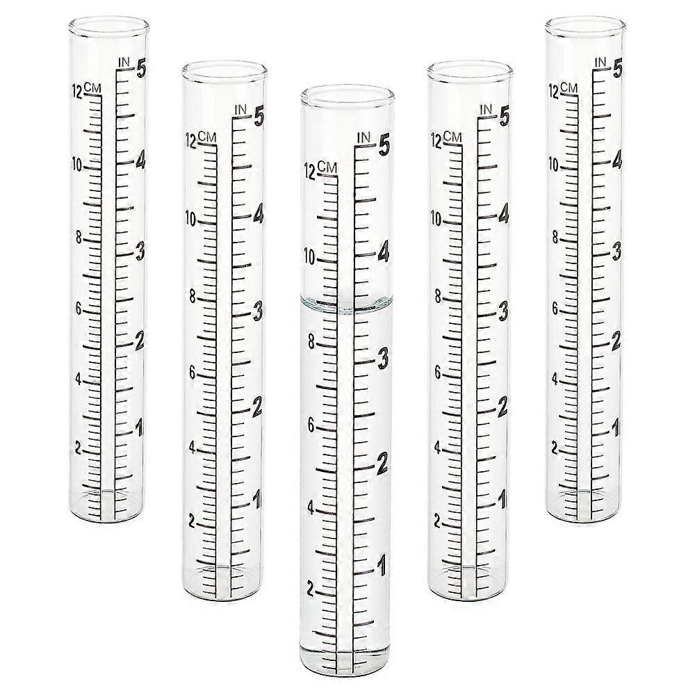 Empty Transparent Glass Test Tube Clear 139x22mm