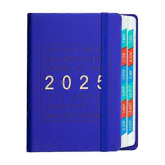 2025 Daily Planner One Day One Page Comprehensive Organizer with Monthly Overviews Holiday Reminders
