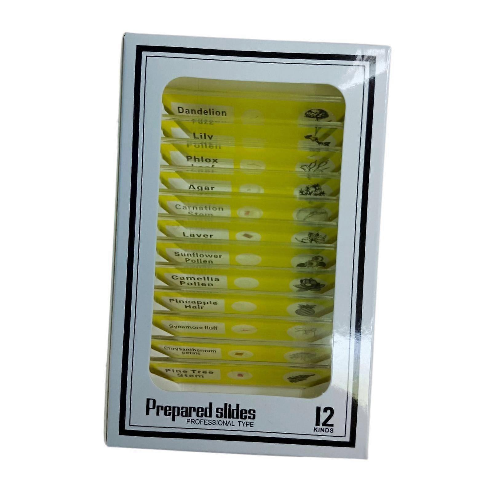 12x Prepared Microscope Slides,Educational Early Learning,Microbiology Slides