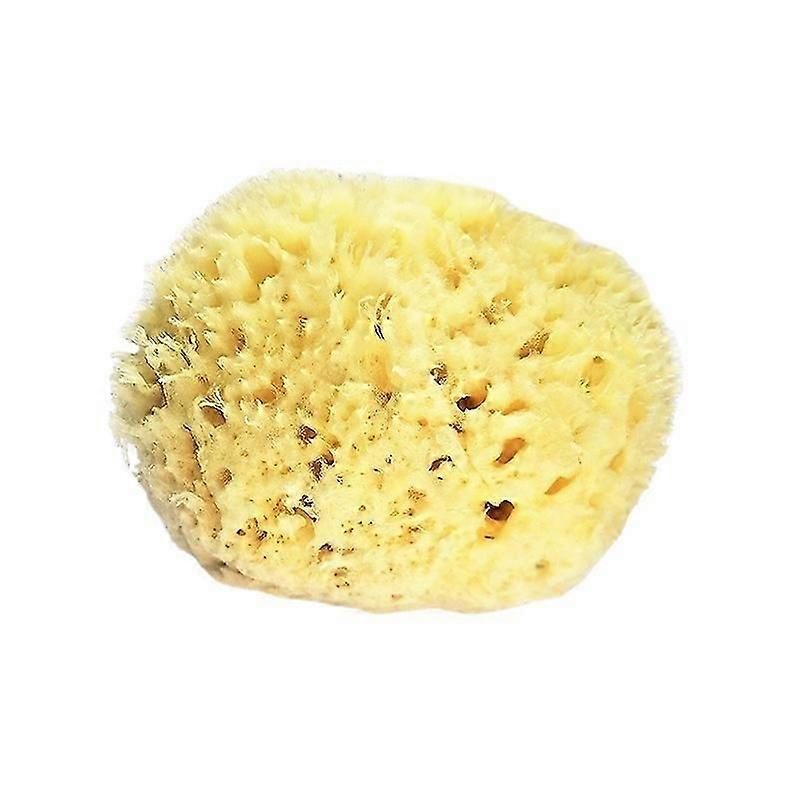H-Sea Wool Sponge 0-5" (Large) - Natural Renewable Resource
