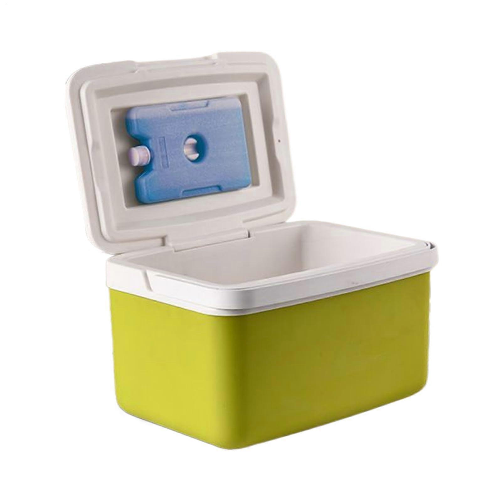 Insulated Grocery Box Camping Cooler 9L With 4 Ice Packs Portable Thermal Container Ergonomic Handle For Drinks Snacks