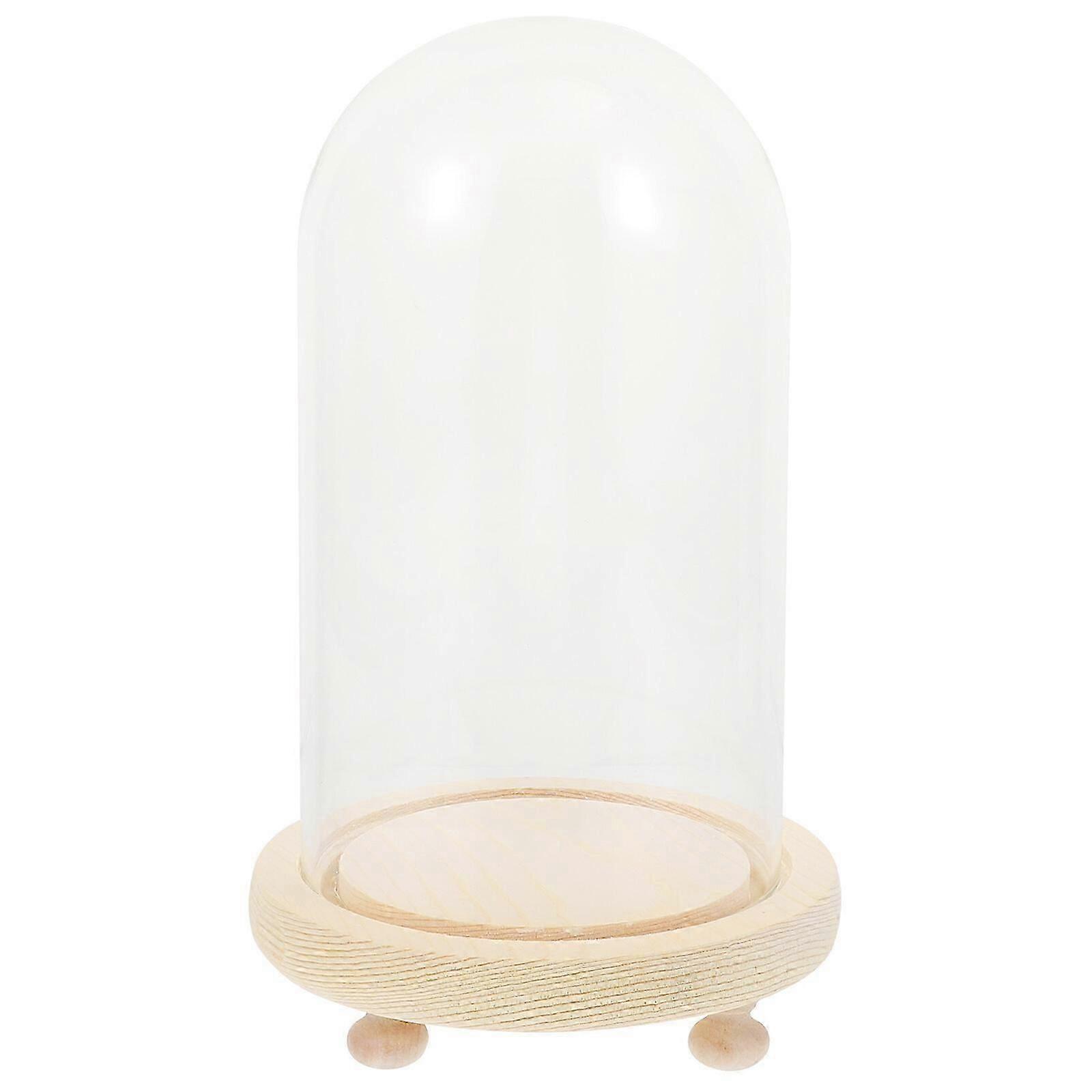 Creative Preserved Fresh Flowers Glass Dome Decor