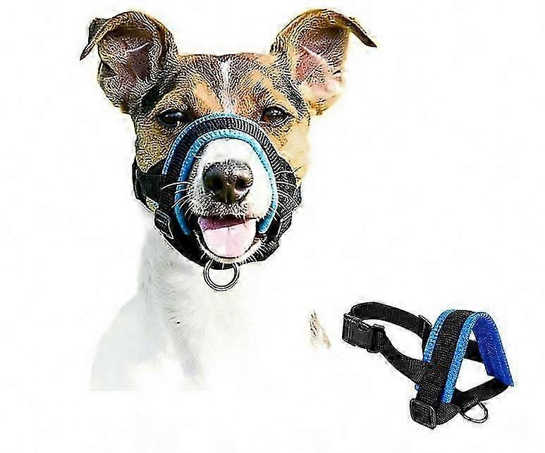 Medium Dog Chew-Proof Muzzle to Stop Biting Behavior