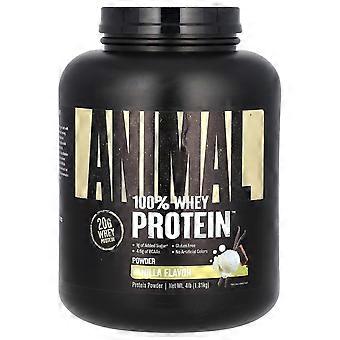 Animal, 100% Whey Protein™ Pulver, Klassische Vanille, 4 lb (1,81 kg)