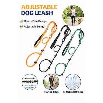 Nylon Slip Lead Dog Slip Leash and Collar Dog Training Leash with Double Handle