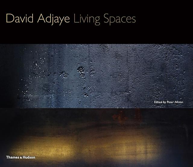 David Adjaye Paperback Book