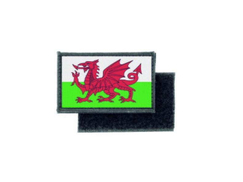 Patch ecusson prints Welsh Wales flag badge