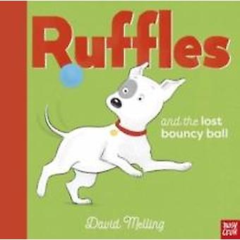 Ruches en de verloren stuiterbal - David Melling