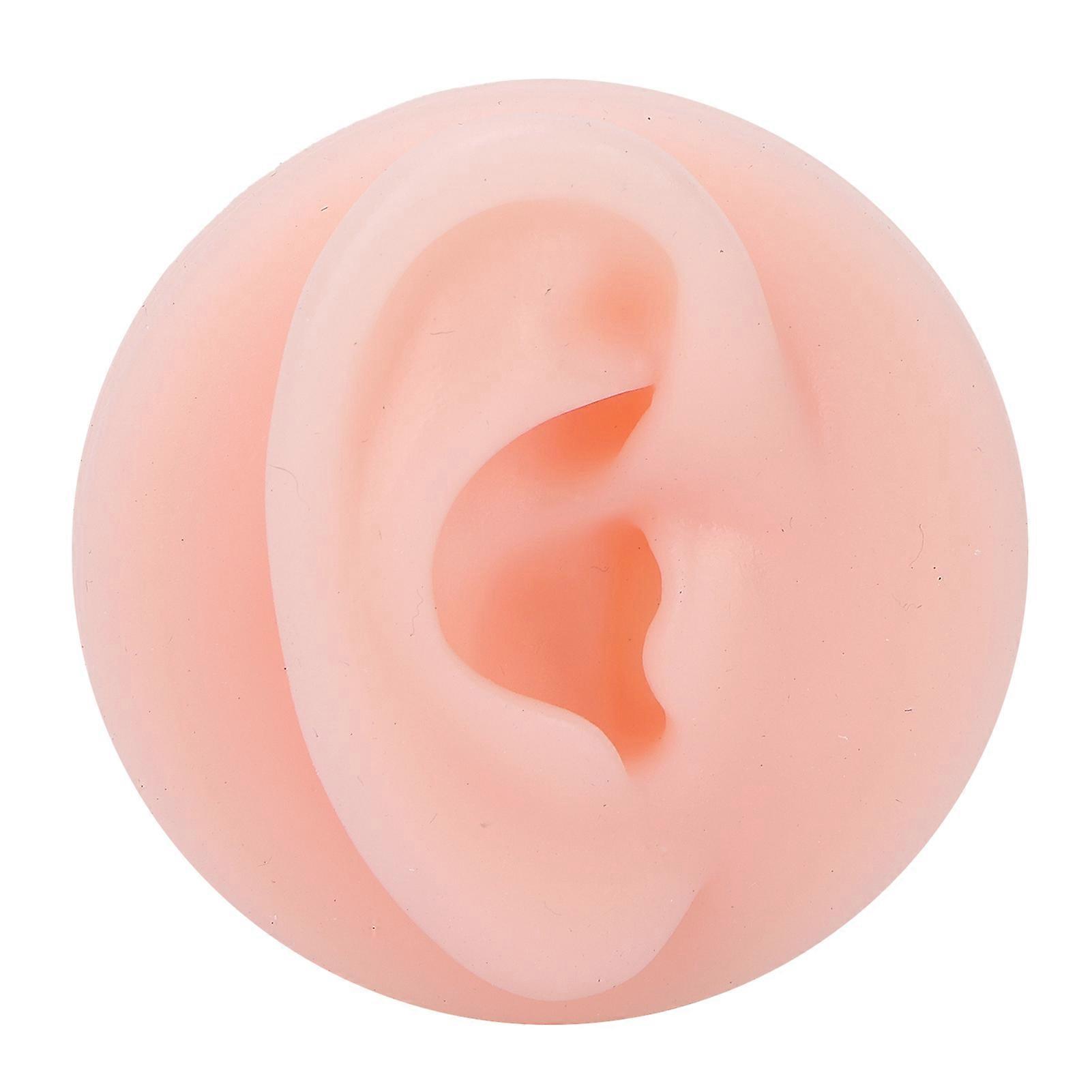 Professional Soft Silicone Ear Model Fake Ear Display Sample Ear Acupuncture Practice Modelright Ear