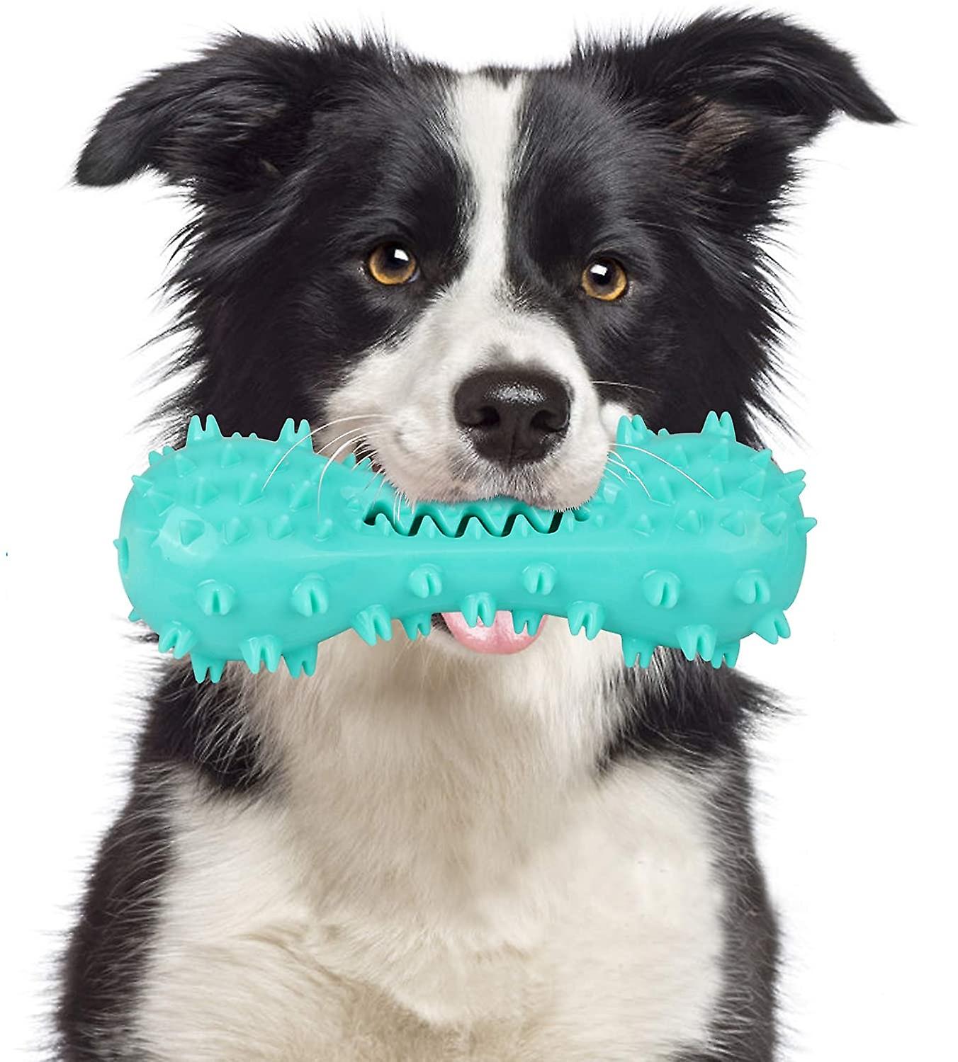 Dents de chien Mâcher Jouet