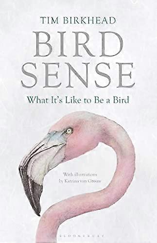 Bird Sense: What Its Like to Be a Bird