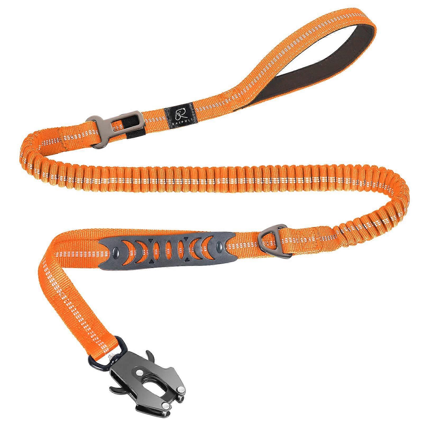 Strong Highly Reflective Shock Absorbing Elastic Dog Leash for Training Car Seatbelt Use 4-6FT