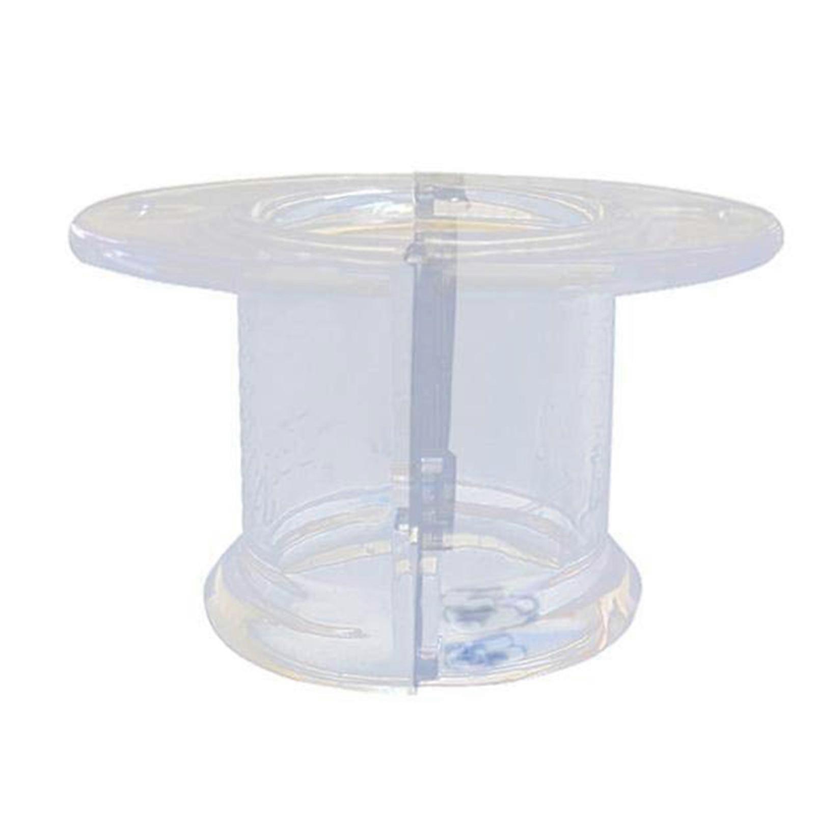 鳥エリザベス朝の首輪オウムの羽を摘み取る襟アクリルリカバリーコーンインコのアフリカの灰色のオウムのアフリカ