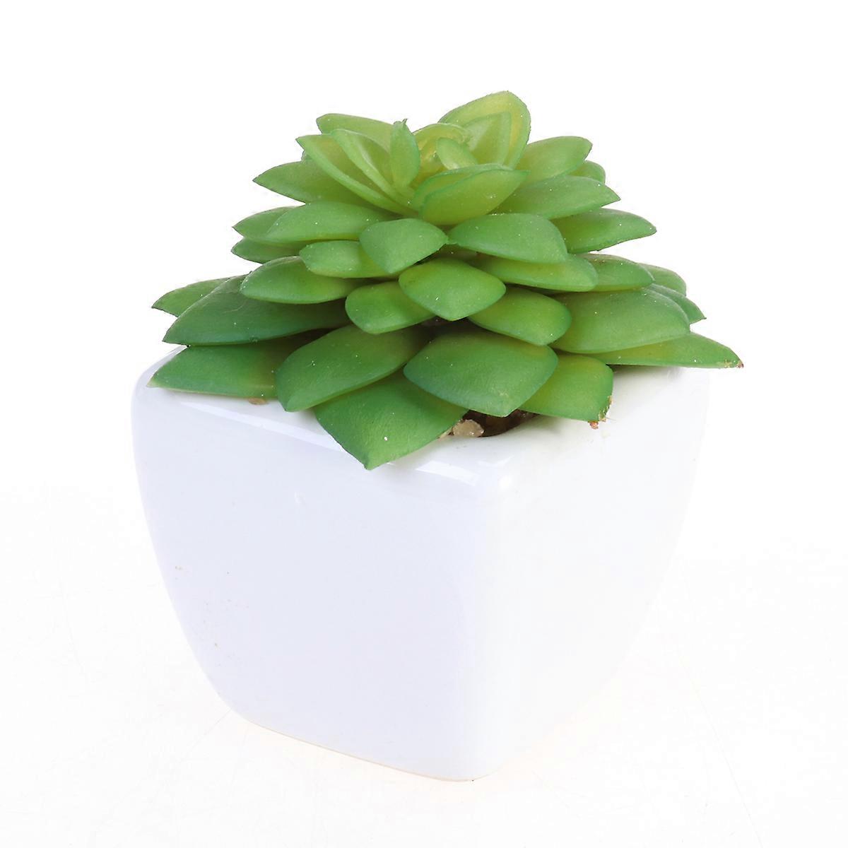 Stylish Artificial Succulents Adding Charm to Any Living Area
